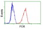 CYPOR / POR Antibody (clone 6C4)
